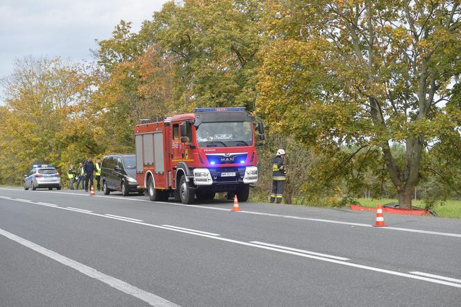 Sinołęka, wypadek śmiertelny