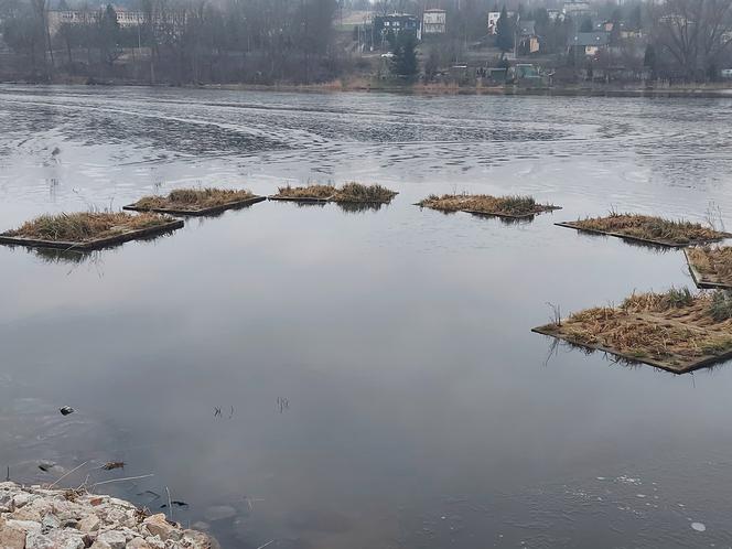 Przebudowa grobli na starachowickim Pasterniku