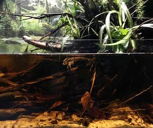 Rozmawiamy z Tomaszem Wiśniewskim, założycielem Aqua Dreams Bydgoszcz