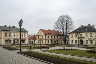 Opatowiec: miasto, które.jpg