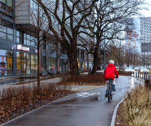 Zielona Marszałkowska między placem Bankowym a ul. Królewską