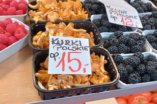 Zobacz, ile kosztują grzyby we Wrocławiu. Ceny kurek są zadziwiające!