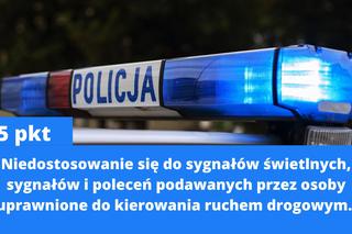 Za co dostaniesz 15 punktów karnych? Nowy taryfikator już w połowie września 