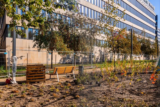 Park linearny na Służewcu w Warszawie pod koniec budowy