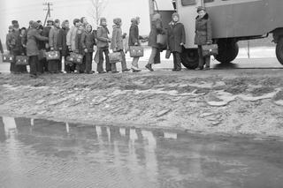 Dowożenie dzieci do szkół, 1974 rok