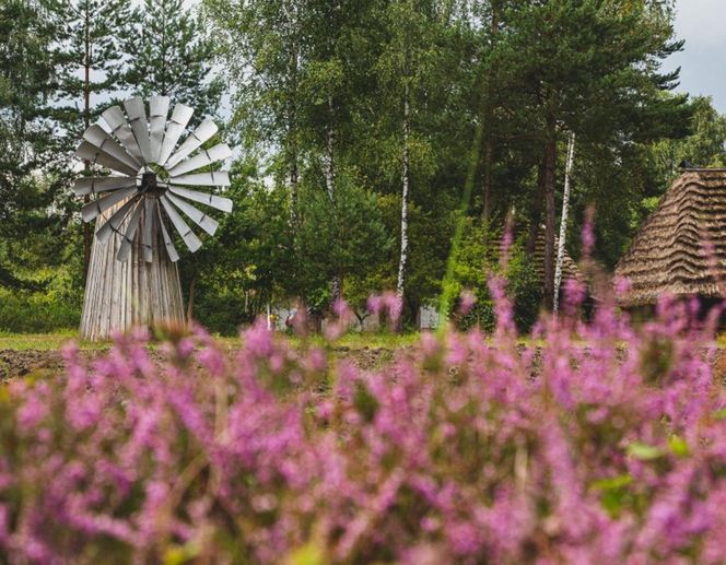Muzeum Kultury Ludowej w Kolbuszowej - tu kręcono sceny do serialu "1670"