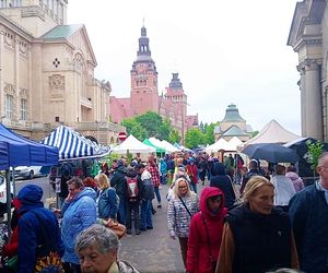Kiermasz Pamiętajcie o ogrodach