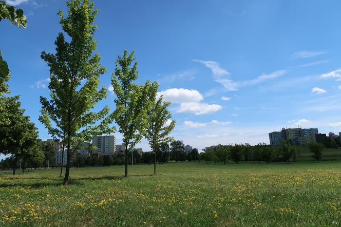 Tychy. Nowy Wodny Plac Zabaw w Parku Jaworek droższy niż zakładano