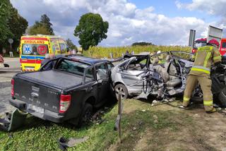 Masakra na drodze. Karambol i śmierć na chwilę przed lądowaniem LPR