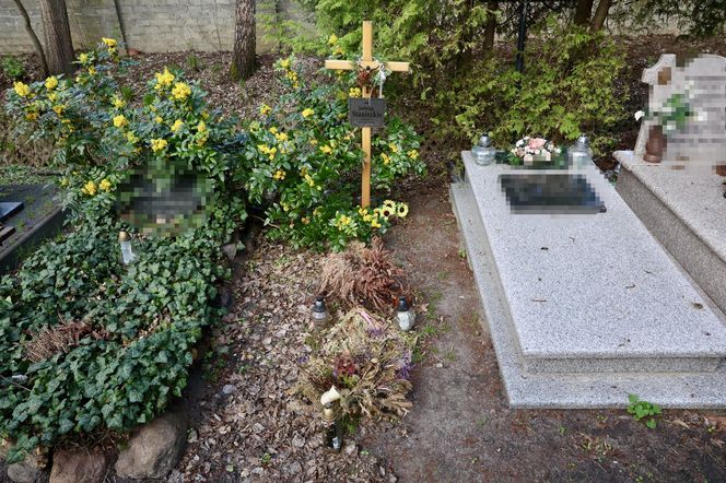 Tak wygląda grób prof. Staniszkis rok po jej śmierci 