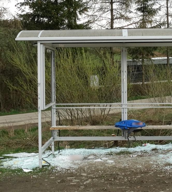 Budowlany młotek poszedł w ruch.  Z przystanku został tylko szkielet.  Wandale w akcji!