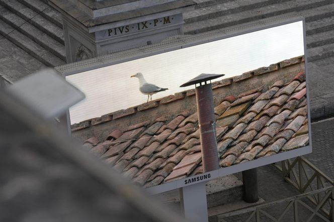 Z OSTATNIEJ CHWILI: Rozpoczęło się konklawe 2025 – kardynałowie złożyli przysięgę w Kaplicy Sykstyńskiej