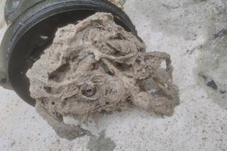 Polacy wrzucają to do toalety, nie wiedzą że mogą tego pożałować. Nawet 150 tysięcy zł