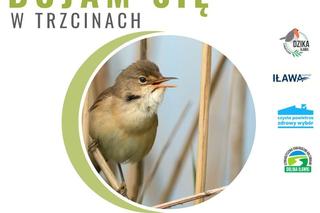 Żabie Uroczysko w Iławie