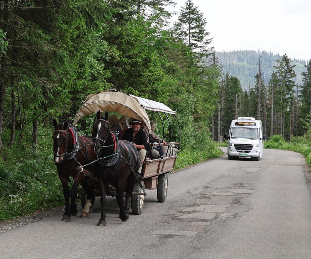 Zakończyły się testy elektrycznego busa na trasie do Morskiego Oka