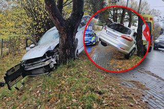 Pijany Ukrainiec rozbił auto na drzewie! Szokujące tłumaczenie. Rano wypiłem jedno piwo