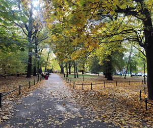 Policja namierzyła sprawców rozboju w Parku Jalu Kurka