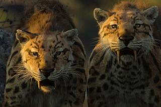 “Życie na planecie Ziemia”