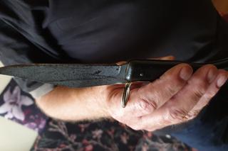 Wściekły jeleń zaatakował grzybiarzy. Ratunkowa akcja w lesie koło Górowa Iławeckiego