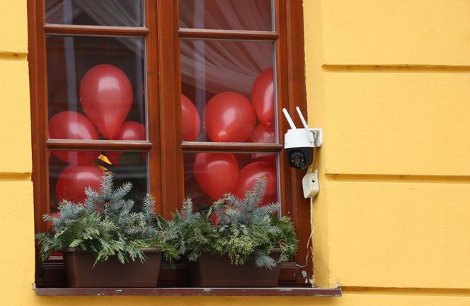 Walentynkowy śnieżny Lublin