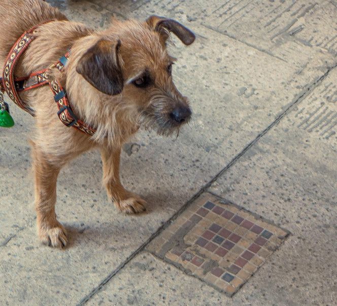 Marszałkowska Dzielnica Mieszkaniowa w Warszawie