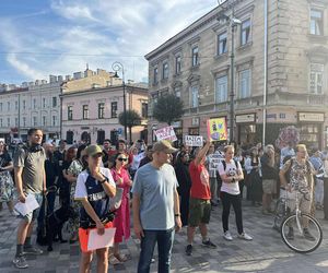 Protest w obronie Górek Czechowskich przed ratuszem