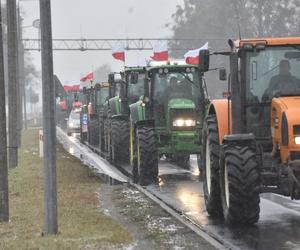 Protest rolników w Toruniu i okolicach. Zdjęcia z piątku - 9 lutego 2024