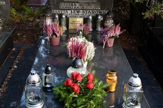 Grób Zbigniewa Lwa-Starowicz 