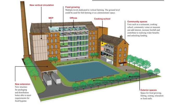 Ilustracyjny widok nieczynnego młyna, w którym uprawa żywności działa jako katalizator rewitalizacji i stanowi kluczowy element eksponowania dziedzictwa budynku.