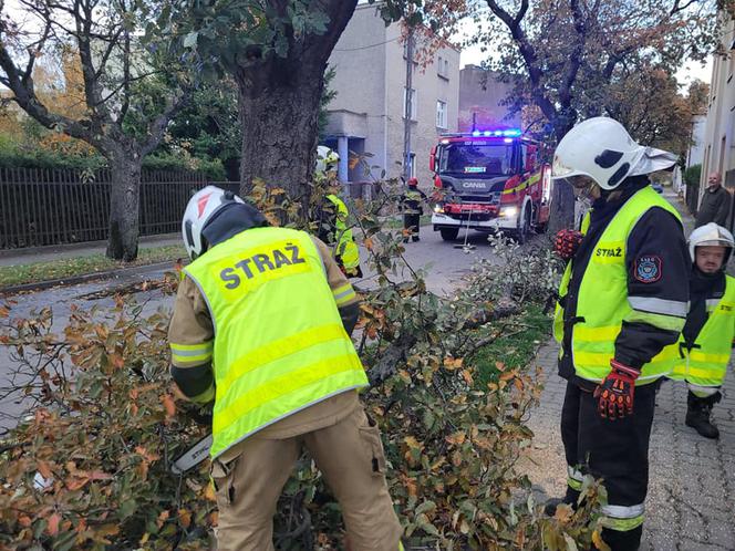 Potężna nawałnica przeszła przez Bydgoszcz i region! [ZDJĘCIA]