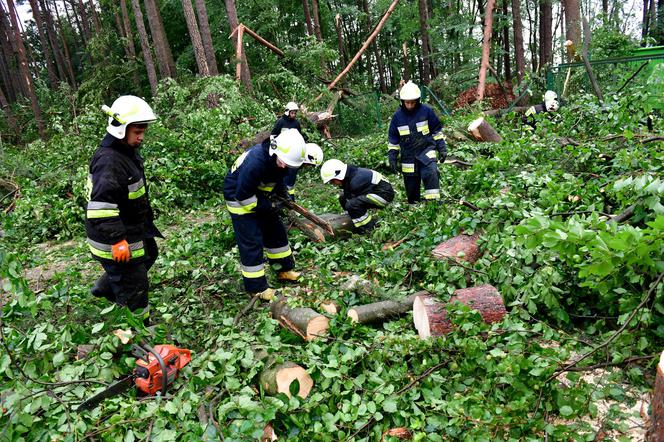 Trąba powietrzna przeszła przez Złocieniec