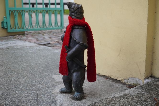 WidziMisie w Białymstoku gotowe na zimę