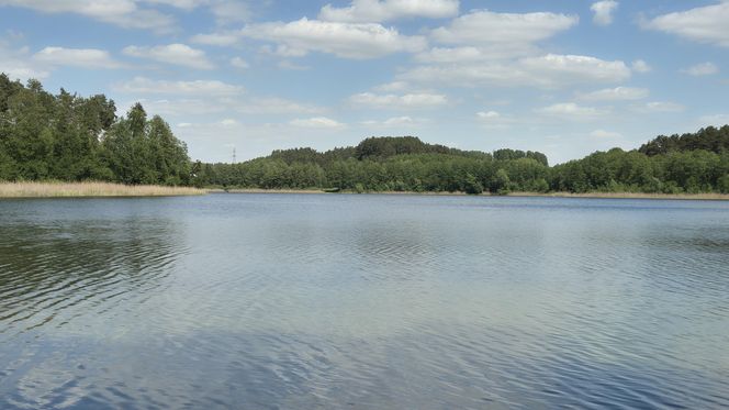 To jezioro w Olsztynie ma niezwykle czystą wodę. Jest kilka dzikich plaż, które świecą pustkami