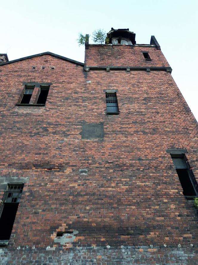 Opuszczona Huta Szkła w Gliwicach popada w ruinę. XIX-wieczna budowla zyska nowe życie? [ZDJĘCIA]