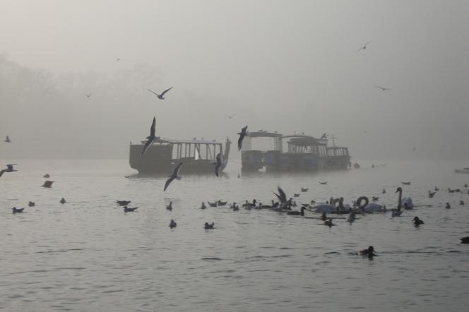 W czwartek lepiej nie wychodzić z domu, smog da się we znaki! Centrum Zarządzania Kryzysowego ostrzega