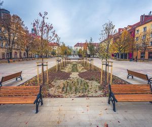 Plac Baczyńskiego w Tychach po przebudowie. Mniej betonu, więcej zieleni