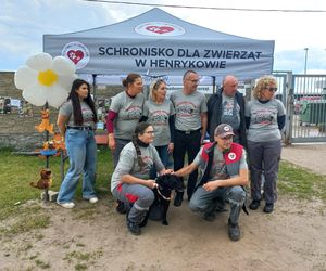 „Wszystkie psiaki nasze są” w schronisku w Henrykowie koło Leszna