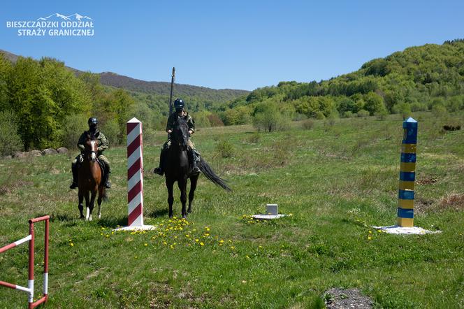 W Bieszczadach granicy razem ze strażnikami pilnują konie. Są jedyne takie w Polsce! [FOTO]