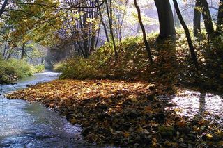 Czy powstanie Park Narodowy Doliny Dolnej Odry? Senat wnosi poprawki. Przesunięto datę otwarcia!