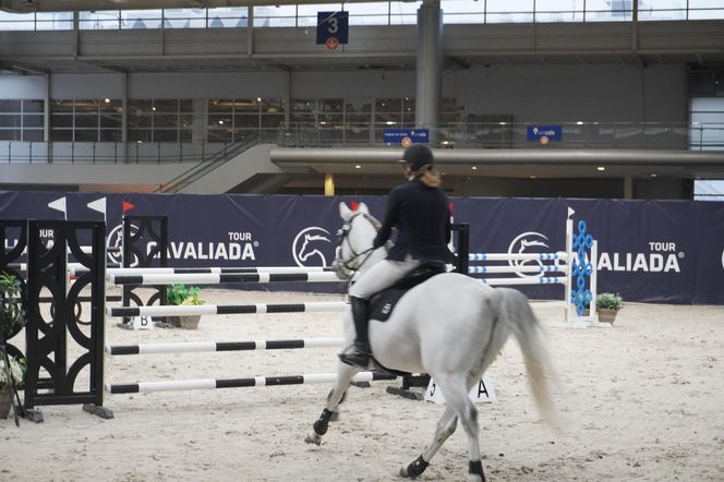 Cavaliada 2024. Pierwszy dzień rywalizacji w Poznaniu