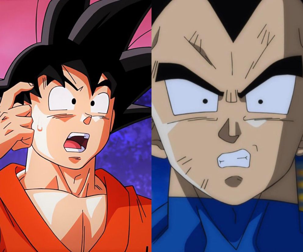 Son Goku i Vegeta Dragon Ball