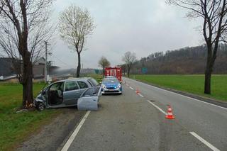 Uszew. Uderzył w drzewo na prostym odcinku drogi. Tragiczna śmierć kierowcy opla