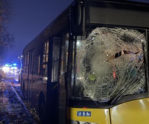 Wiązowna. Zderzenie autobusu z sarną 