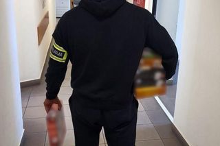 Bydgoszczanin ogołocił sklepy z zabawkami. Policjanci: Zburzyliśmy budowlany plan złodzieja klocków 