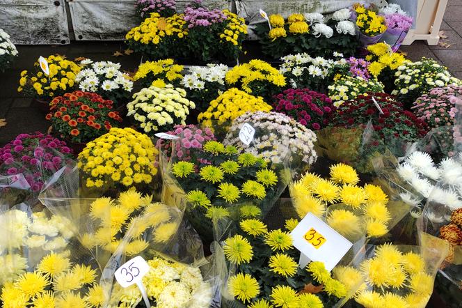 Ceny kwiatów są podobne do tych sprzed roku
