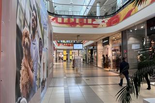 So! Coffee w NoVa Park