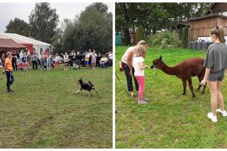 Piknik Charytatywny Stowarzyszenia Zwierzoluby z Siedlec