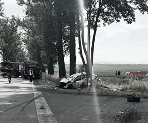 Dwie kobiety nie żyją, 5-osobowa rodzina w szpitalu! Wielka tragedia na DK 38