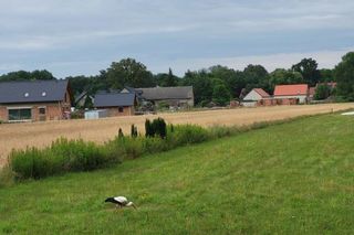 Zbudowałeś szopę bez zgłoszenia? Sprawdź, czy unikniesz 10 tys. zł grzywny