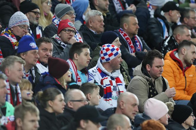 ZDJĘCIA kibiców na meczu Górnik Zabrze-Lech Poznań